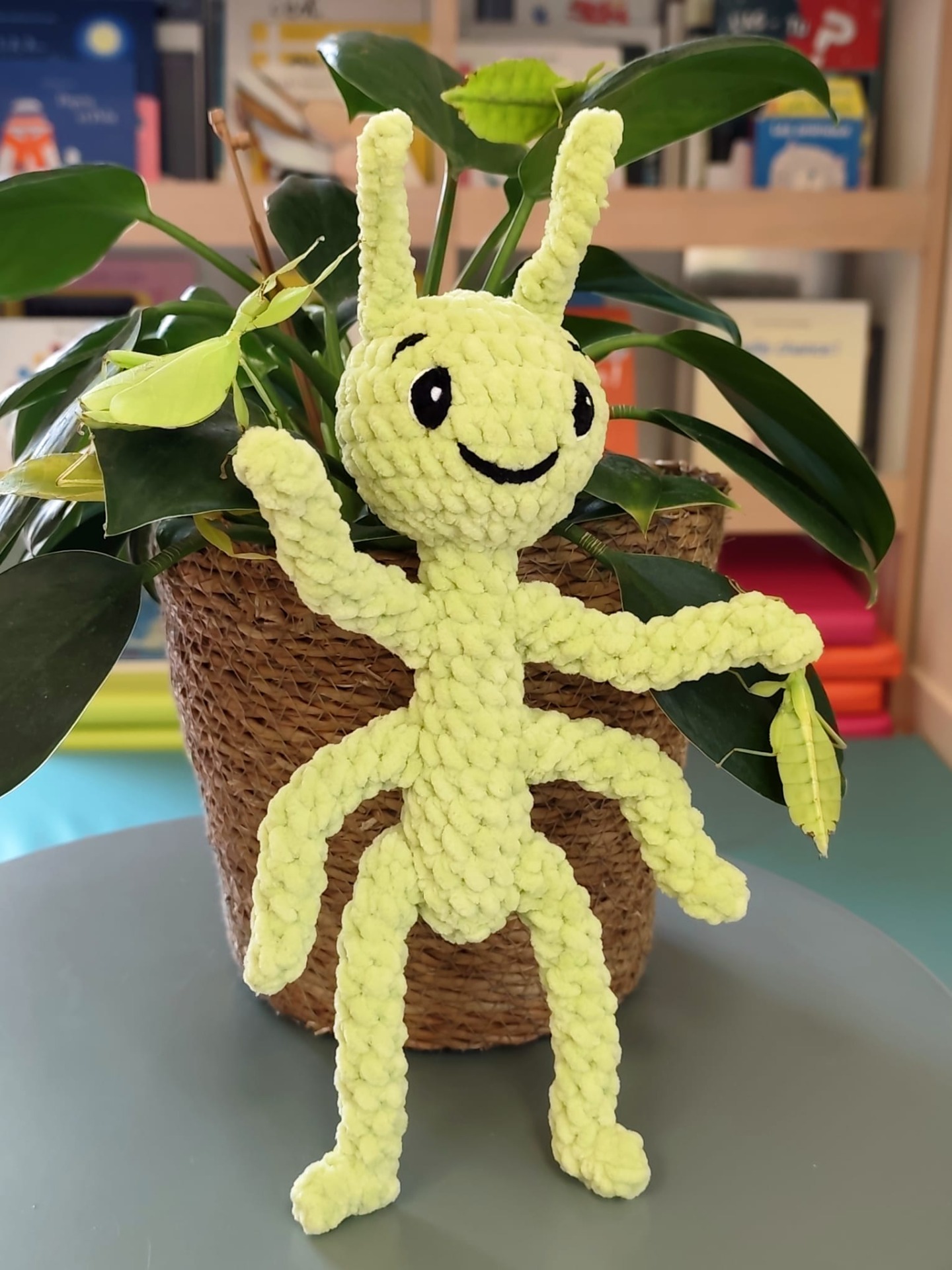 Je vous présente Brindille, la mascotte de Phasmes & Compagnie :)